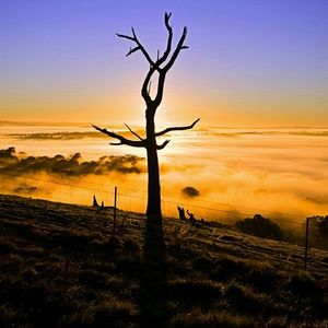 Meet your Posher, Yolanda